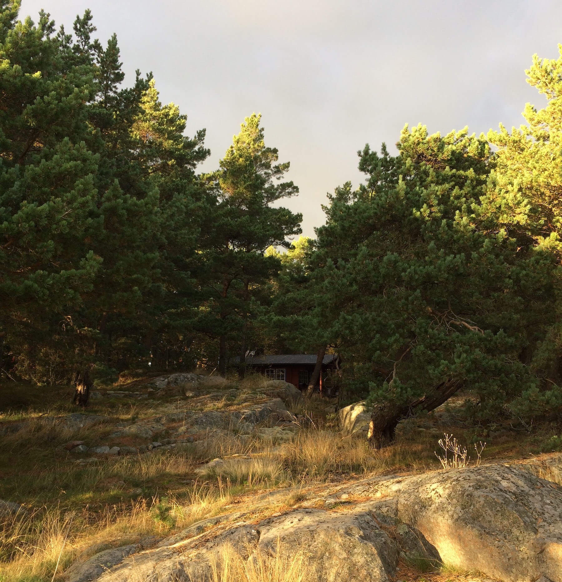 Natur in Åland