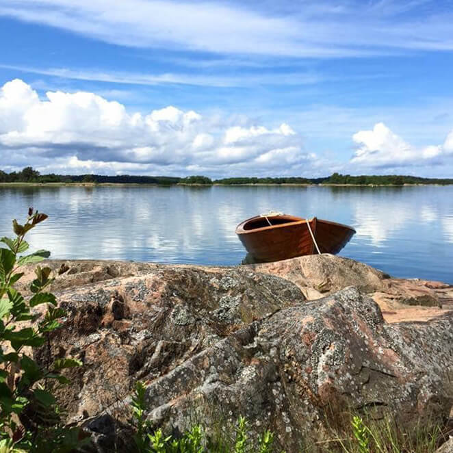 Une bécassine classique des îles Åland, photo: Linda Henriksson