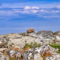 Salungarna, foto: Håkan Skogsjö