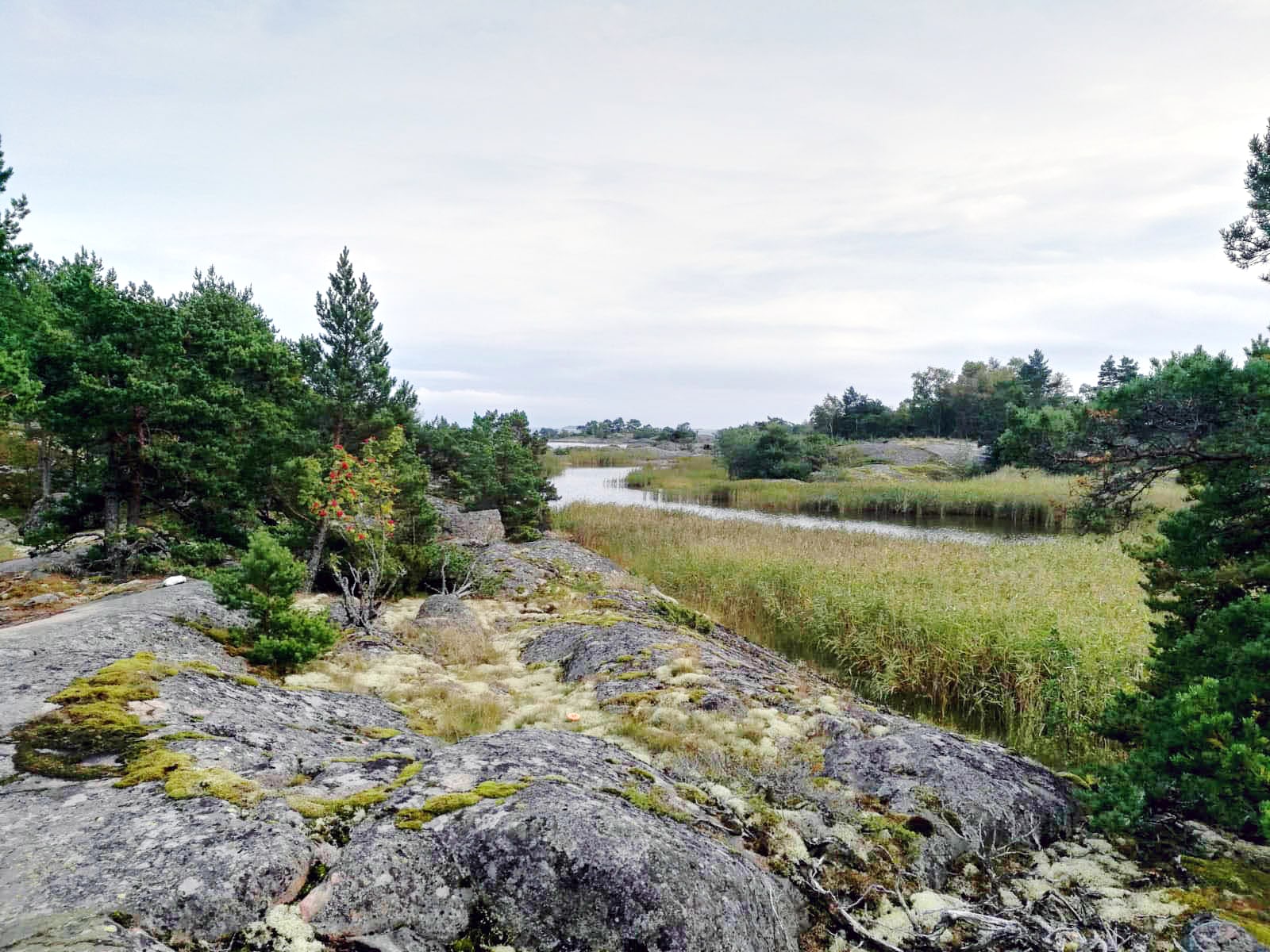 Wanderweg Hastersboda