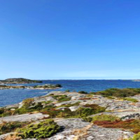 Hamnö hiking trail, picture: Jenni Avéllan-Jansson