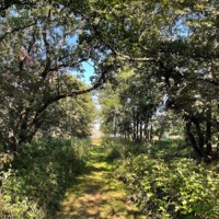 Meditation trail in Kökar, picture: Jenni Avéllan-Jansson