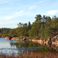 Utsikt i Simskäla